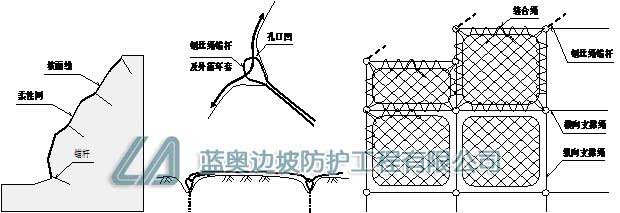 ����(d��ng)���o(h��)�W(w��ng)���bʾ��D